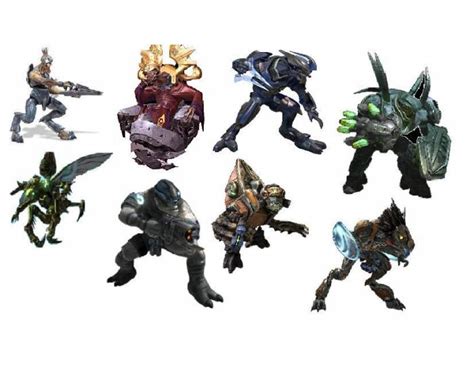 Halo Covenant species Quiz