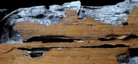 Weathered Wood Furniture Background, Background, Wood, Board Background ...