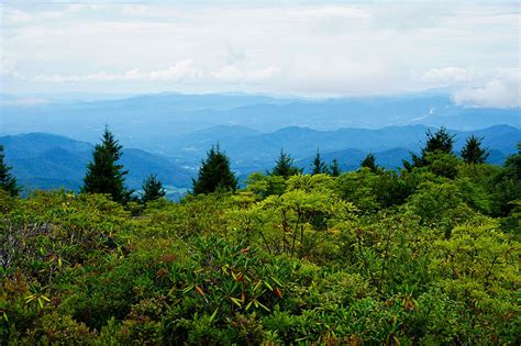 5 Must-Do Blue Ridge Parkway Hikes in North Carolina