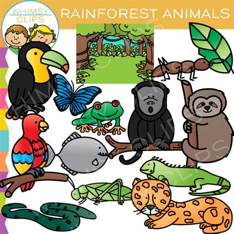 Rainforest animals clipart 20 free Cliparts | Download images on ...