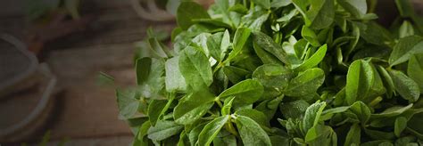 Fenugreek Leaves - Shan Foods Taste of Authentic Food with a Bite of ...