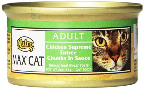 Best Cheap & Affordable Wet Cat Food Brands | iPetCompanion