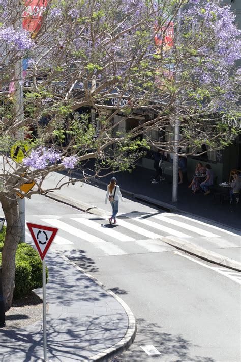 Woollahra LGA Active Transport Plan - SCT Consulting