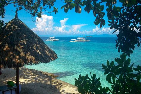 Moalboal & Panagsama - Cebu Seaview Dive Resort