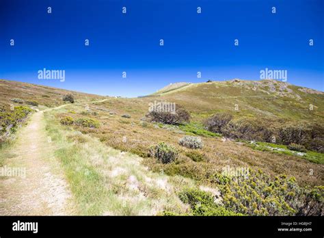 Mount Buller Walking Trails in Summer Stock Photo - Alamy