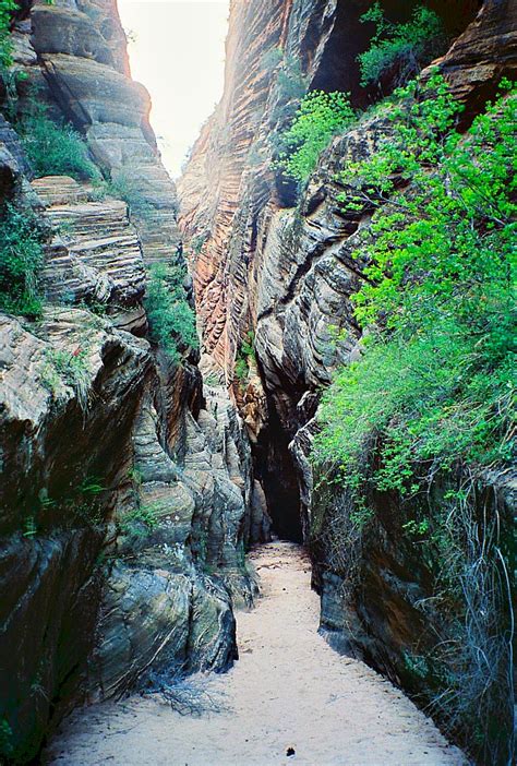 Mini slot canyon in Zion National Park