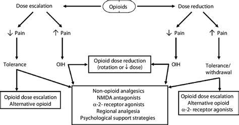 Clinical differentiation and management of opioid-induced hyperalgesia ...