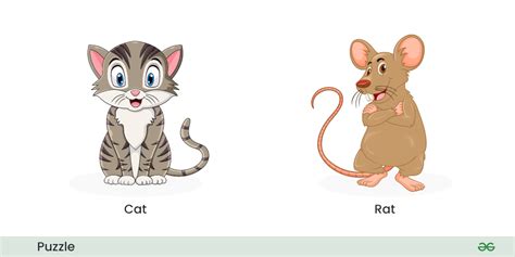 Cat and Rat puzzle - GeeksforGeeks