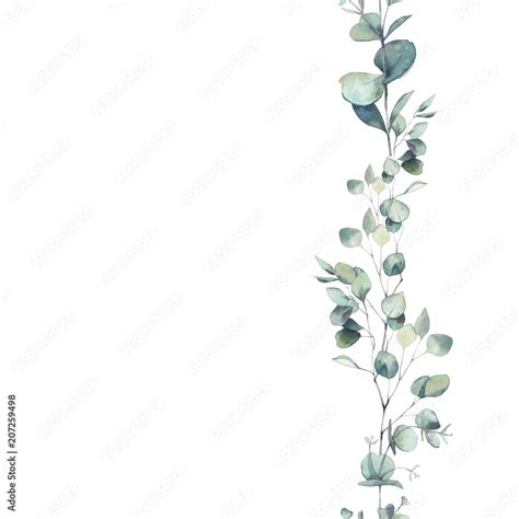 Watercolor eucalyptus branches ornament. Hand painted floral repeating ...