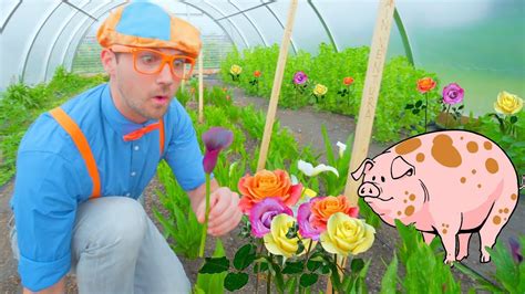 Blippi Farm Tour | Farm Animals And Vegetables For Kids