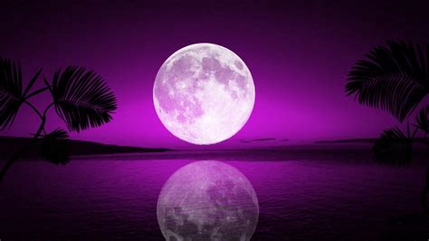 Purple Moon Wallpapers - Top Free Purple Moon Backgrounds - WallpaperAccess