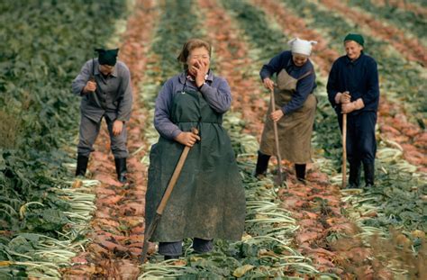 East German women harvesting sugar beets, September 1974. : r/TheWayWeWere