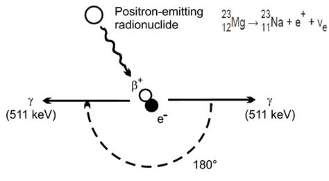 Positron Annihilation | nuclear-power.com