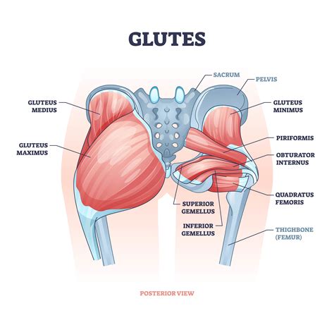 Royal Orthopaedic Hospital - Gluteal Tendinopathy