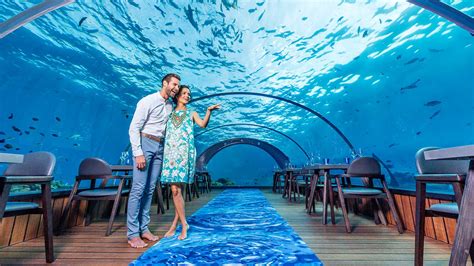 5.8 Undersea Restaurant – Maldives underwater restaurant