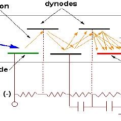 The working principle of photomultiplier tube | Download Scientific Diagram