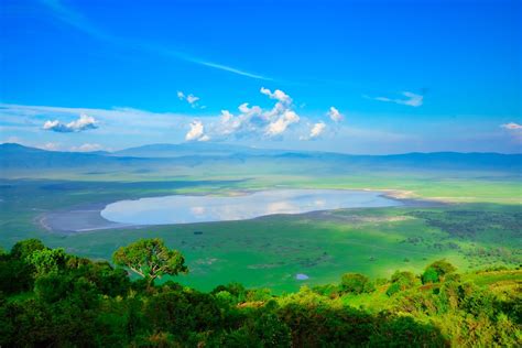 What to Expect on a Ngorongoro Crater Safari: Ultimate Guide