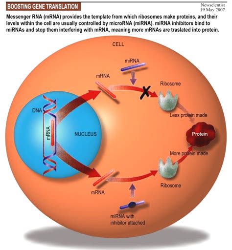 Genomics