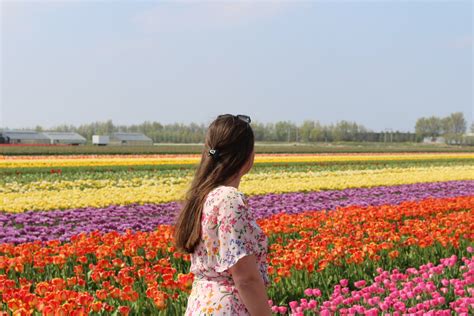 Everything You Need to Know Before Visiting the Tulip Fields in South ...