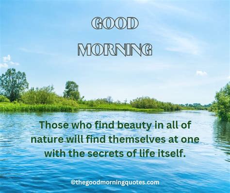 54+ Beautiful Good Morning Nature Quotes - Good Morning Quotes