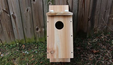 Build A Screech Owl Nesting Box From A Cedar Board - Hobby Farms