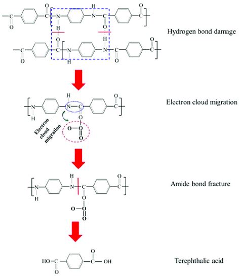 The reaction mechanism of Kevlar fiber in an ozone environment ...