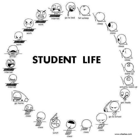 Funny Quotes About College Students. QuotesGram