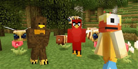 Bird Skins for Minecraft for Android - Download