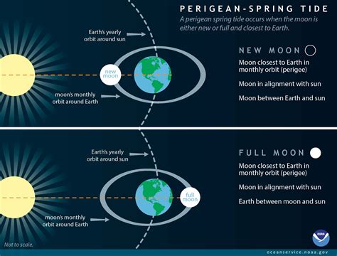 King Tides: A cosmic phenomenon | California Sea Grant