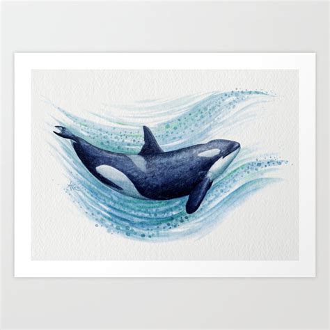 "Orca Spash" by Amber Marine ~ Watercolor Killer Whale Painting ...