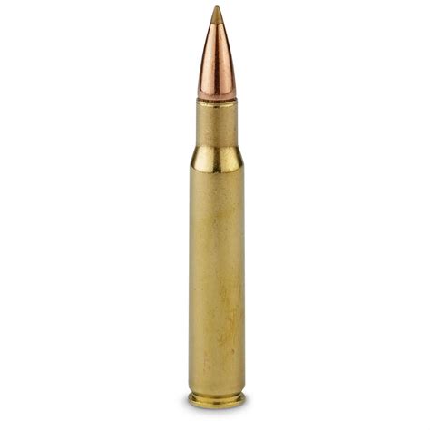 Remington Premier Accutip, .30-06 Springfield, AT-BT, 165 Grain, 20 ...