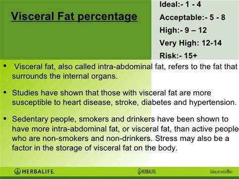 Visceral Fat Scale - Cucumber Asshole