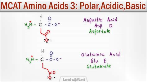 Acidic Amino Acids