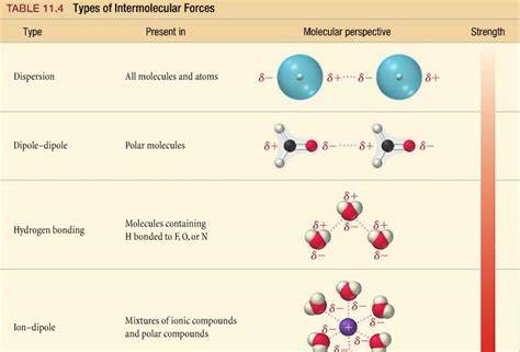 Ammonia Intermolecular Forces