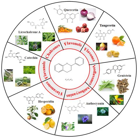 Polyphenols as Plant-Based Nutraceuticals: Health Effects ...