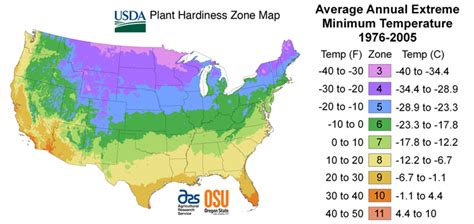 USDA Plant Hardiness Zone Map - Nehru Memorial