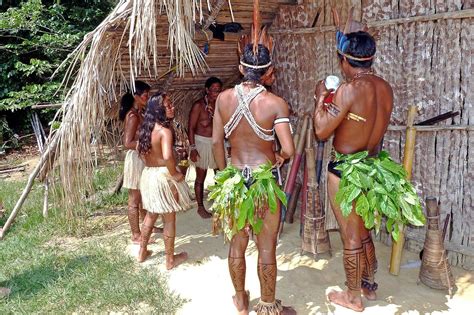 Honoring Indigenous Peoples and Local Communities on World Rainforest ...