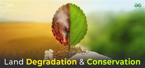 Land Degradation and Conservation - GeeksforGeeks