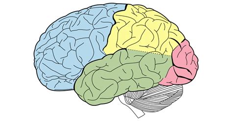 Here's How Negative Thinking Is Changing Your Brain