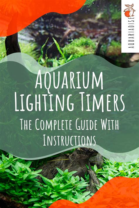 Aquarium Lighting Timers: The Most Reliable Ones Available