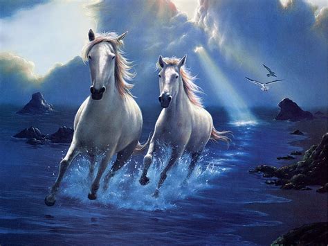 717 Hd Wallpaper Of Running White Horse free Download - MyWeb