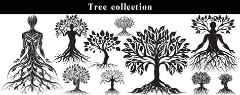 set of silhouettes of trees. black and white tree vector set. tree ...