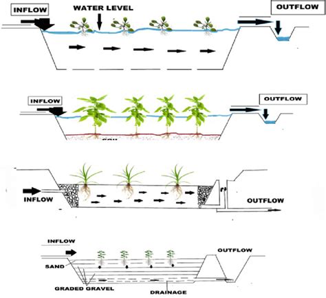 7 Types of constructed wetland | Download Scientific Diagram