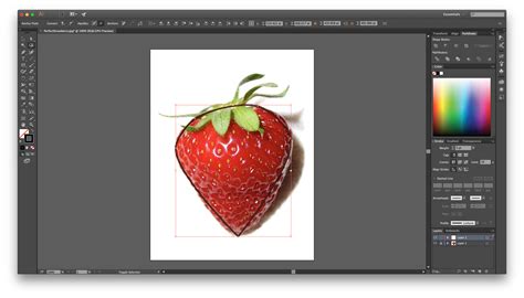 Drawing in Illustrator, for Beginners