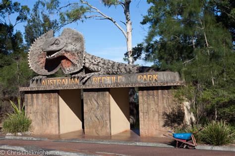 Sydney Day Trips: The Australian Reptile Park - Adventure, baby!