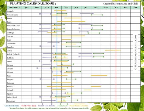 When to Start Seeds: Garden Planting Calendars for Every Zone – Gardzen