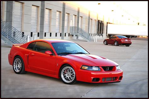 2003 Ford Mustang Cobra Terminator Wallpapers - Wallpaper Cave