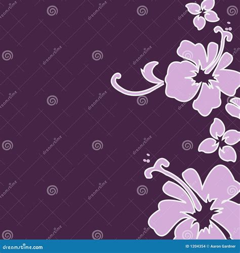 Purple Hibiscus Stock Images - Image: 1204354