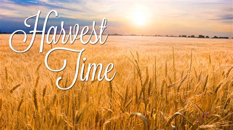 Free photo: Harvest time - Autumn, Natural, Turning - Free Download ...