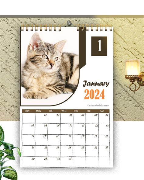 2024 Cat Wall Calendar - Free Printable Templates